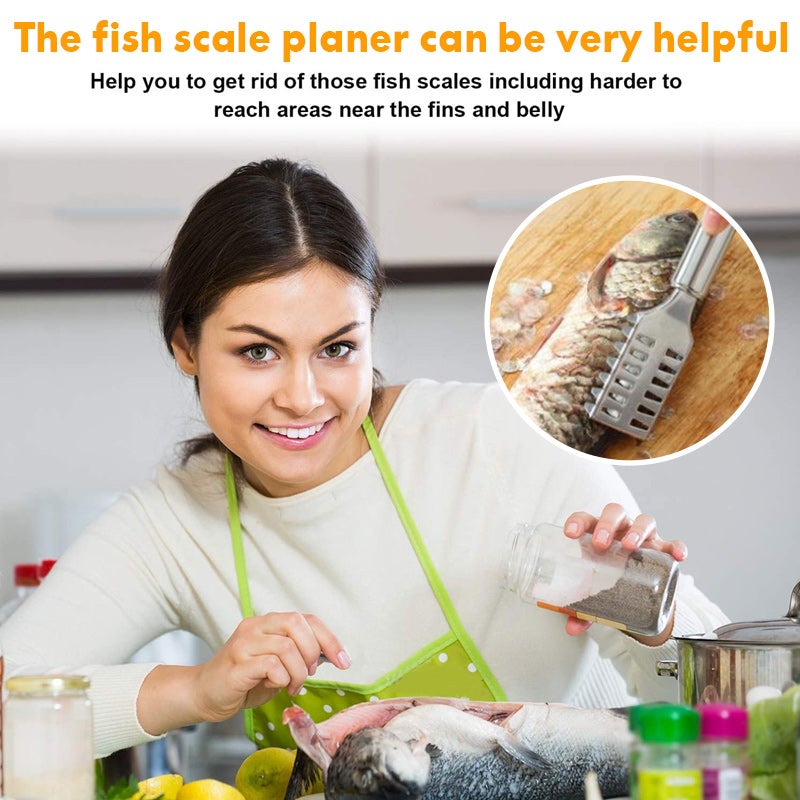 Stainless Steel Fish Scale Planer